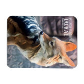 Zwartkopvezel [Fotomagneet] Magneet (Horizontaal)