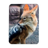 Zwartkopvezel [Fotomagneet] Magneet (Verticaal)