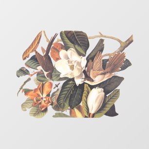 Zwartkopvogel Raamsticker