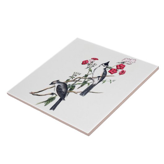 ZWARTKREUKIGE TITMOUSE TEGEL TEGELTJE (Zijkant)