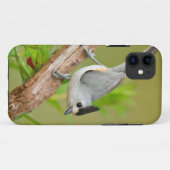Zwartkuifmees Case-Mate iPhone Case (Achterkant (horizontaal))