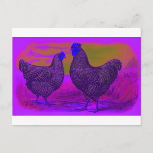 ZwartLicht Briefkaart (Voorkant)