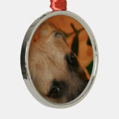 Zwartmondpuppel Metalen Ornament (Rechts)