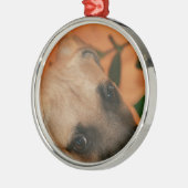 Zwartmondpuppel Metalen Ornament (Links)