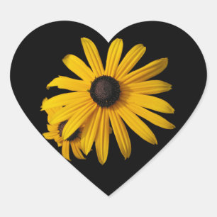 Zwartogen Susans Hart Sticker