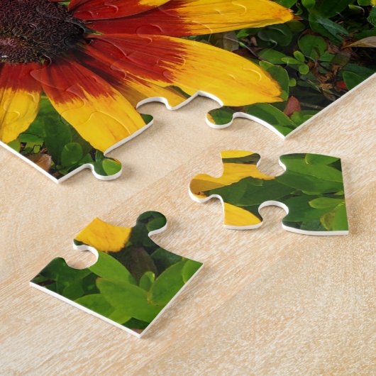 Zwartogen Susans Legpuzzel (Zijkant)