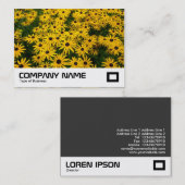 Zwartogen Susans (Rudbeckia Hirta) Visitekaartje (Voorkant / Achterkant)