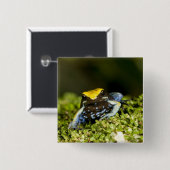 Zwartoor Mantella, Mantella expectata, 2 Vierkante Button 5,1 Cm (Voorkant /achterkant)