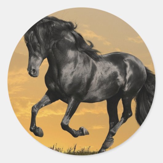 Zwartpaard Ronde Sticker (Voorkant)