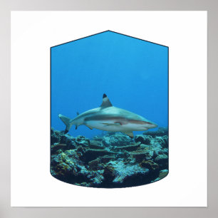 Zwartpunthaai, Yap Island - Fotografisch ontwerp Poster