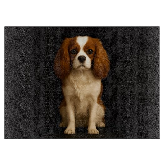 Zwartr 4 Luxe glazen bord Cavalier Spaniel Snijplank (Voorkant)