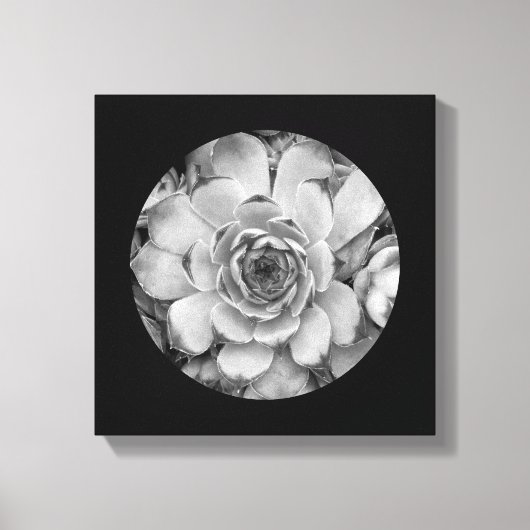 Zwartrand Cirkelvormige Foto Canvas Afdruk (Voorkant)