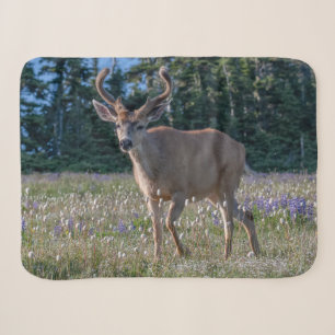 Zwartstaart hertenbok Olympic National Park Sherpa Deken