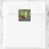 Zwartstaart, Odocoileus hemionus Vierkante Sticker (Tas)