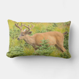 zwartstaarthert buitenkussen