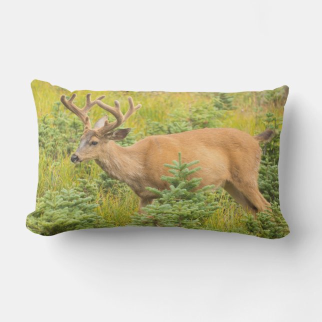 zwartstaarthert buitenkussen (Voorkant)