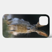 Zwartstaartjackrabbit, Lepus californicus, 2 Case-Mate iPhone Case (Achterkant (horizontaal))