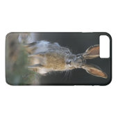 Zwartstaartjackrabbit, Lepus californicus, 2 Case-Mate iPhone Case (Achterkant (Horizontaal))