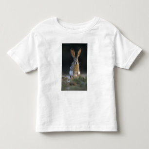 Zwartstaartjackrabbit, Lepus californicus, 2 Kinder Shirts