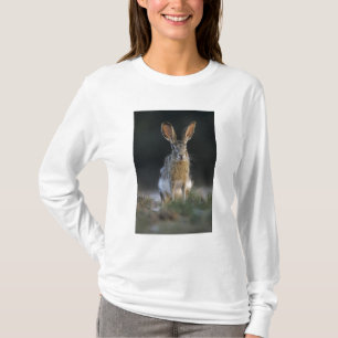Zwartstaartjackrabbit, Lepus californicus, 2 T-shirt