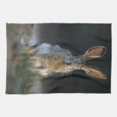 Zwartstaartjackrabbit, Lepus californicus, 2 Theedoek (Horizontaal)