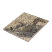 Zwartstaartjakobijn Tegeltje (Zijkant)