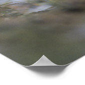 Zwartstaartjasje, Lepus californicus, 2 Poster (Hoek)