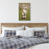 Zwartstaartprairiehond Canvas Afdruk (Insitu (Slaapkamer))
