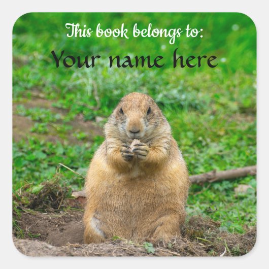 Zwartstaartprairiehond Vierkante Sticker (Voorkant)
