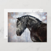 Zwartstaartzwarte horens briefkaart (Voorkant / Achterkant)