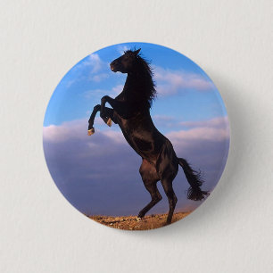 Zwartsteen Ronde Button 5,7 Cm