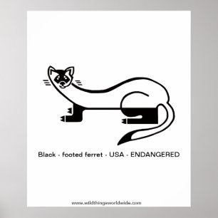 ZwartvoetFRET - Bedreigd dier - Natuur Poster