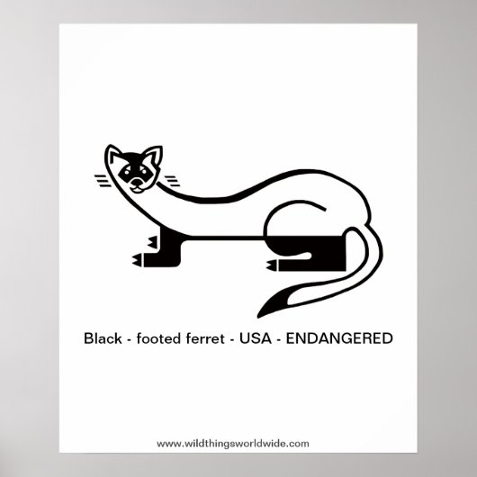 ZwartvoetFRET - Bedreigd dier - Natuur Poster (Voorkant)