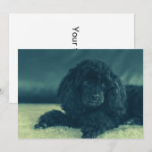 Zwartwerkster Bedankkaart (Voorkant / Achterkant)