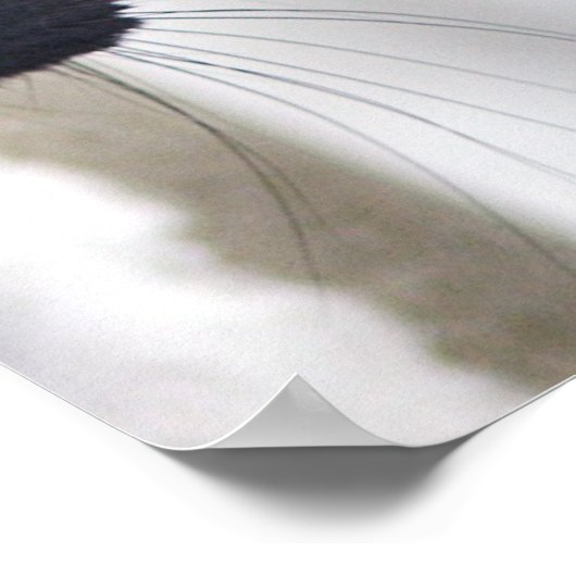 Zwartwitafdrukken Poster (Hoek)