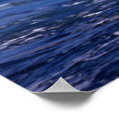 Zwartwitalbatros in vlucht poster (Hoek)