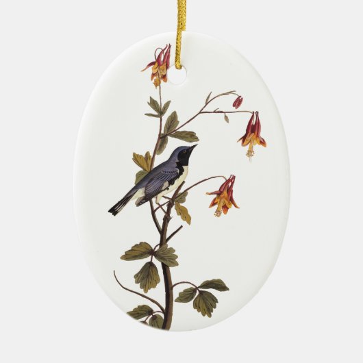 Zwartwitblauw Warbler Audubon Bird Keramisch Ornament (Voorkant)