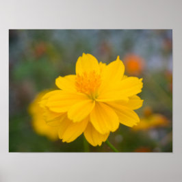 Zwavel Cosmos 02 Poster