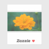 Zwavel Cosmos 02 Sticker (Vel)