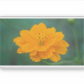 Zwavel Cosmos 02 Sticker (Voorkant)