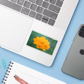 Zwavel Cosmos 02 Sticker (Laptop met iPhone)