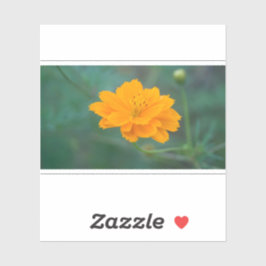 Zwavel Cosmos 03 Sticker