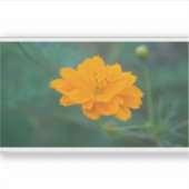 Zwavel Cosmos 03 Sticker (Voorkant)