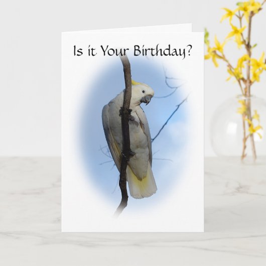 Zwavel Crest Cockatoo Verjaardag Kaart (Gele Bloem)