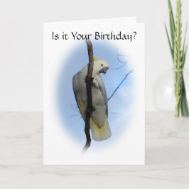 Zwavel Crest Cockatoo Verjaardag Kaart