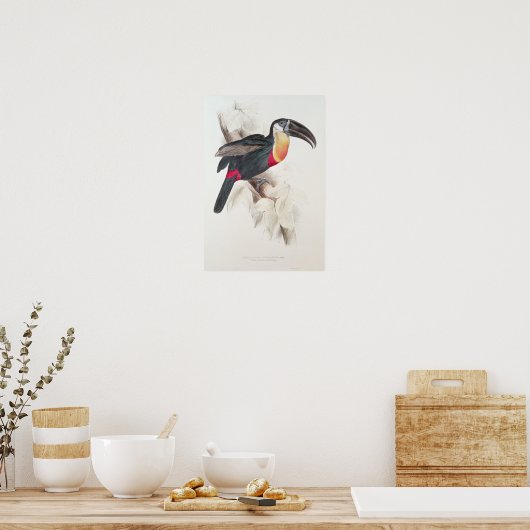 Zwavel en witte doornhaai, 19e eeuw poster (Keuken)