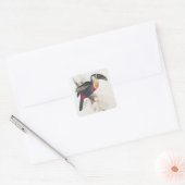 Zwavel en witte doornhaai, 19e eeuw vierkante sticker (Envelop)