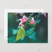 Zwavel in Briefkaart met zout (Voorkant / Achterkant)