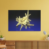 Zwavel (S) op Celestite, Polen Canvas Afdruk (Insitu (Woonkamer))