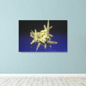 Zwavel (S) op Celestite, Polen Canvas Afdruk (Insitu (Houten vloer))